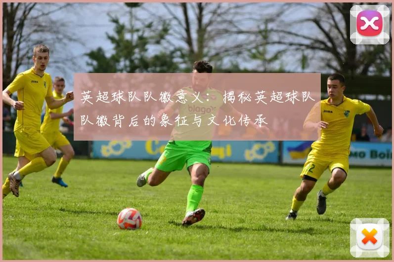 英超球队队徽意义：揭秘英超球队队徽背后的象征与文化传承