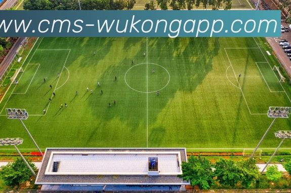 悟空体育app平台生态图