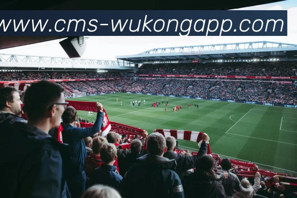 悟空体育appAPP 封面图