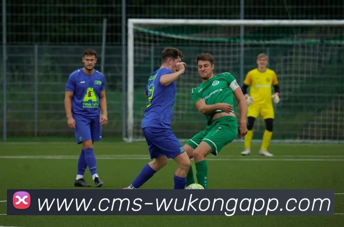 数据防护可视化